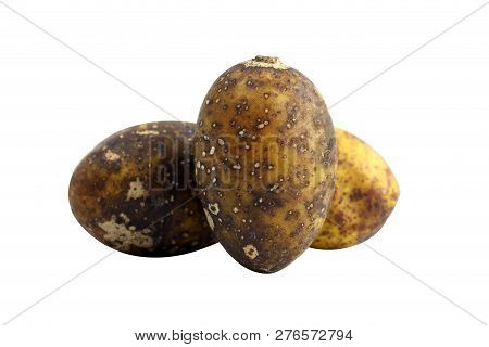 Hog Plum Spondias Pinnata Forest Fruit (makok Thai Word) Isolated On White Background Closeup