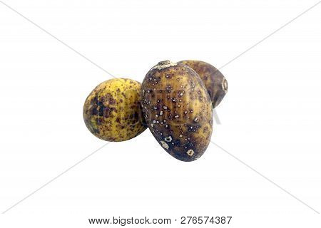 Hog Plum Spondias Pinnata Forest Fruit (makok Thai Word) Isolated On White Background Closeup