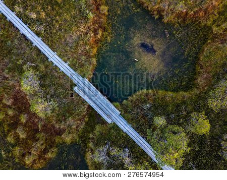 Moody Drone Photo Of Colorful Moorland In Early Summer Sunrise