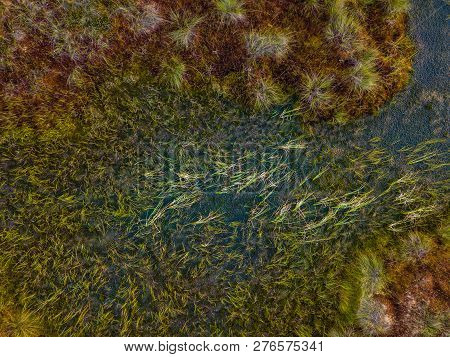 Moody Drone Photo Of Colorful Moorland In Early Summer Sunrise Closep Topdown View