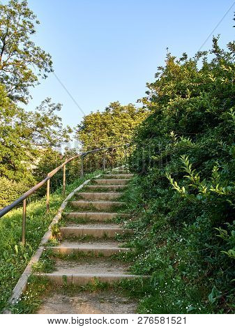 Park Full Of Greenery In The Suburbs Of Milan, Cernusco Sul Naviglio