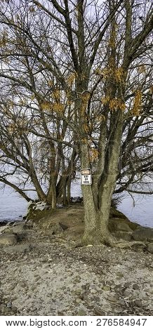 Danger Sign Posted On Tree. Keep Off Rocks. Breakwall On Lake Ontario Trees And Rocks Covered With I