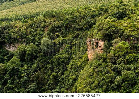 Karkloof Falls Surrounded By Vegetation And Forest In The Natal Midlands, South Africa.