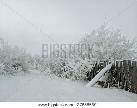 Winter Landscape With The Fence And Snowy Trees