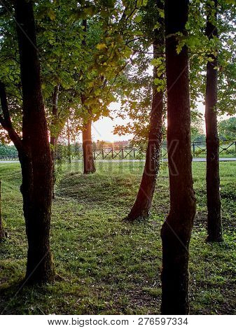 Park Full Of Greenery In The Suburbs Of Milan, Cernusco Sul Naviglio