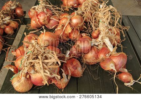 Onion Harvest. Fresh Golden Onions. Ripe Onions. Onions In Market