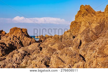 Wild Rocky Beach In Brittany On Armor Coastline.