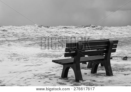 Storm Bw