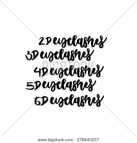 Hand Drawn Lettering Quote - 2d, 3d, 4d, 5d, 6d Eyelashes. Vector Illustration For Print And Web Pro