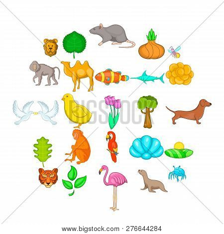 Lifelong Icons Set. Cartoon Set Of 25 Lifelong Icons For Web Isolated On White Background