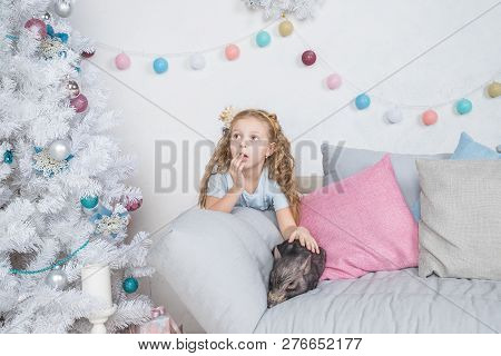 Pig As Symbol Of Luck And Chinese 2019 New Year Calendar. Cute Funny Girl Is Surprised About A Baby 