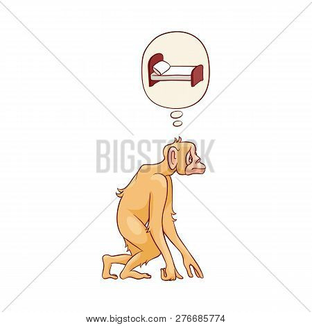 Vector Cute Brown Monkey Walking In Straight