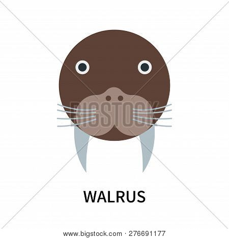 Walrus Icon Isolated On White Background. Walrus Icon Simple Sign. Walrus Icon Trendy And Modern Sym
