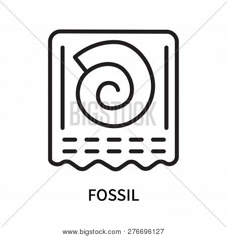 Fossil Icon Isolated On White Background. Fossil Icon Simple Sign. Fossil Icon Trendy And Modern Sym