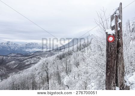 European Beautiful Winter Mountains. Winter On Dry Mountain, Trem, Serbia