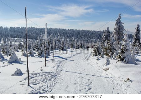 Winter Road With A Modified Cross-country Ski Track In A Snow Covered Landscape Of The Golden Mounta