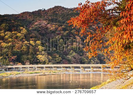 Cherry Tree Beside The Katsura River And Togetsukyo Bridge At Arashiyama, On The Western Outskirts O