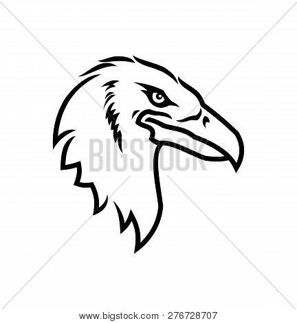 Eagle Head Icon. Eagle Mascot Outline Silhouette