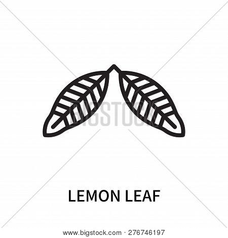 Lemon Leaf Icon Isolated On White Background. Lemon Leaf Icon Simple Sign. Lemon Leaf Icon Trendy An