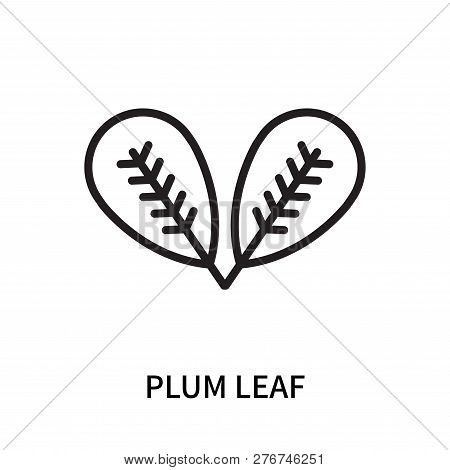 Plum Leaf Icon Isolated On White Background. Plum Leaf Icon Simple Sign. Plum Leaf Icon Trendy And M
