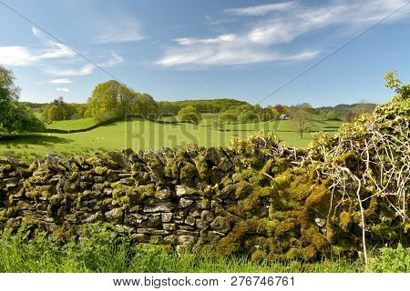 Dry Stone Walls And Fields Above Sawrey In The English Lake District