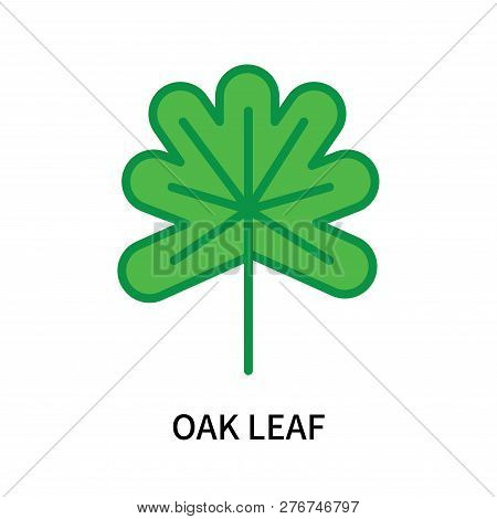 Oak Leaf Icon Isolated On White Background. Oak Leaf Icon Simple Sign. Oak Leaf Icon Trendy And Mode