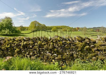 Dry Stone Walls And Fields Above Sawrey In The English Lake District