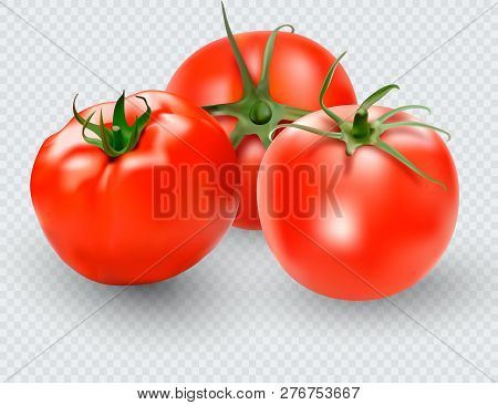 Tomato Set. Red Tomato Collection. Photo-realistic Vector Tomatoes On Transparent Background