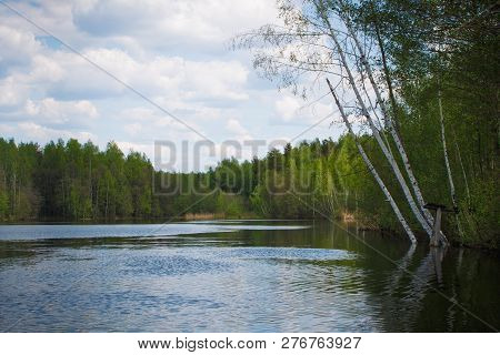 Summer Day At A Forest Lake