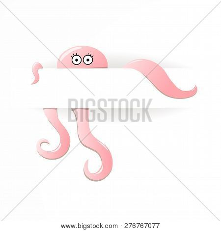 Cute Octopus Cartoon White Background Vector Illustration
