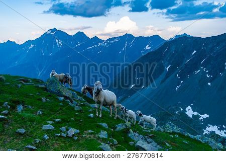 Beautiful Summer Mountains Landscape In Stubai Tyrol Alps Near New Regensburger Mountain Hut, Austri