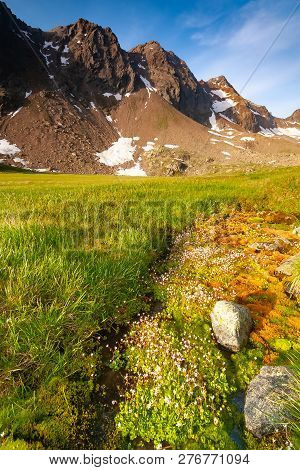 Alpine Mountains Vegetation In Stubai Tyrol Alps Near New Regensburger Mountain Hut, Austria.