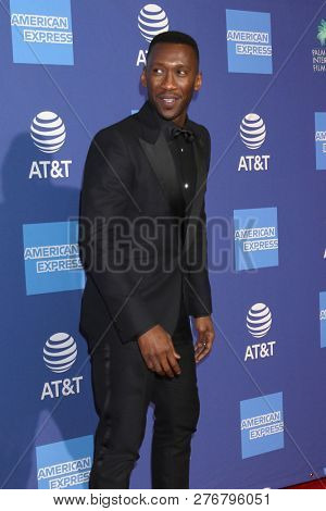 PALM SPRINGS - JAN 17:  Mahershala Ali at the 30th Palm Springs International Film Festival Awards Gala at the Palm Springs Convention Center on January 17, 2019 in Palm Springs, CA