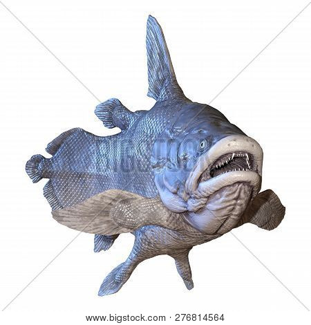 3D Rendering Mawsonia Fish On White