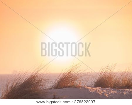 Sunset On The Sand Beach With Beach Beach Grass