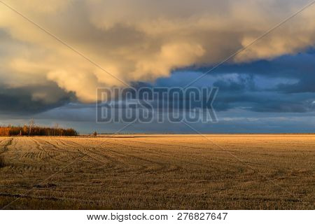 Dry Field Under The Autumn Evening Sky