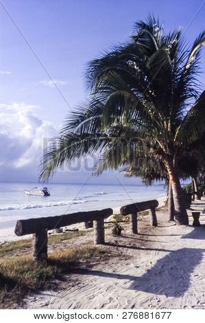 One Of The Most Famous Beach In Zanzibar, Kiwengwa, Tanzania, Africa