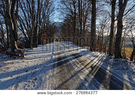 A Snowy Small Road In A French Alps Forest