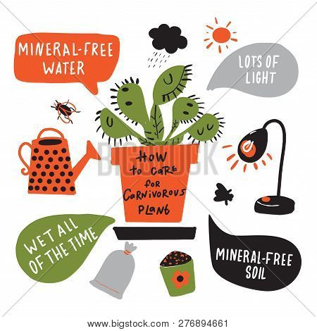 How To Grow Carnivorous Plant. Funny Hand Drawn Infographic Poster About Venus Flytrap. Vector Desig
