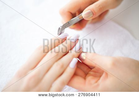 Spa Manicure. French Manicure At Spa Salon. Woman Hands In A Nail Salon Receiving A Manicure Procedu