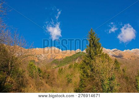 The Early December Mountain Landscape Near Monteaperta In Friul Venezia Giulia, North East Italy