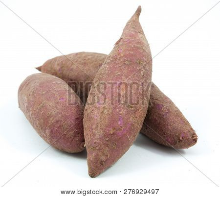 Tapioca Plants Cassava Closeup Isolated On White Background