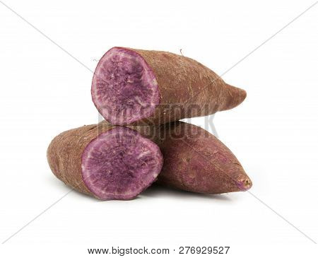 Tapioca Plants Cassava Closeup Isolated On White Background