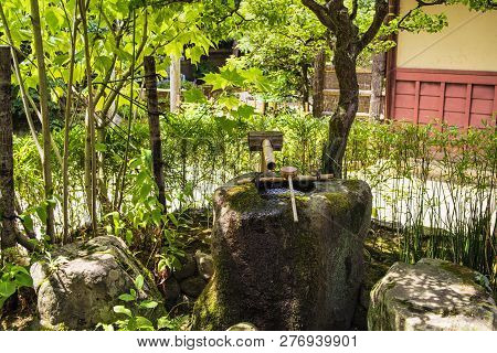 Japan,beautiful Japanese Green Park In Summer Time.