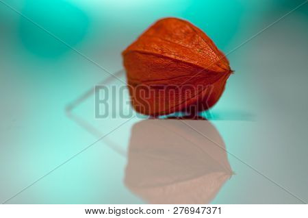 Close-up Of Cape Gooseberry. Shallow Depth Of Field.