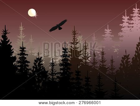 Winter Forest With Bald Eagle In Flight, Light Blue Fog Background, Vector Mountain Landscape. Chris
