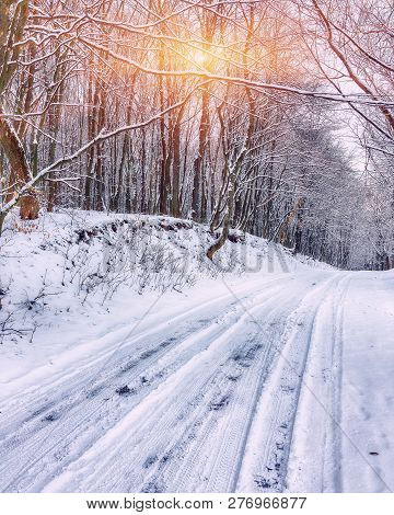 Silence On A Winter Road In The Forest. Lots Of Snow In Winter Time