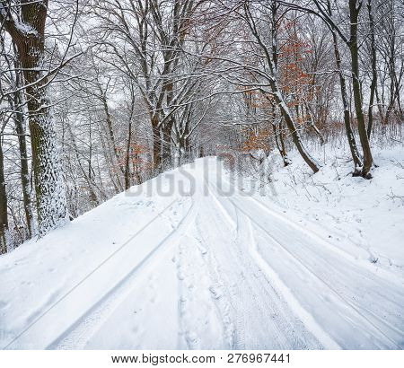 Silence On A Winter Road In The Forest. Lots Of Snow In Winter Time