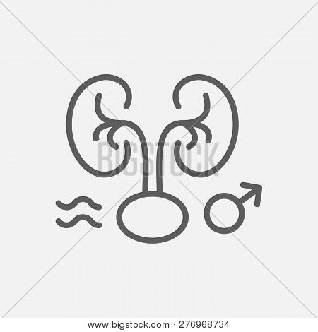 Andrology Icon Line Symbol. Isolated Vector Illustration Of Andrology Icon Sign Concept For Your Web