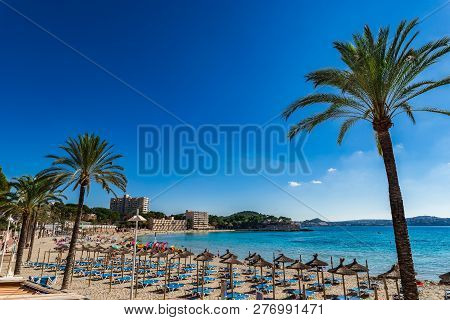 Beautiful Sand Beach With Palm Trees At The Coast Of Peguera, Majorca Island, Spain